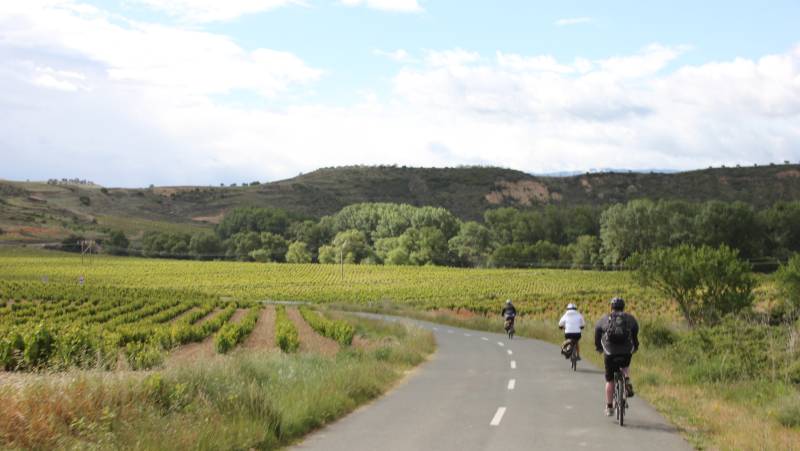 Cycling through Rioja vineyards