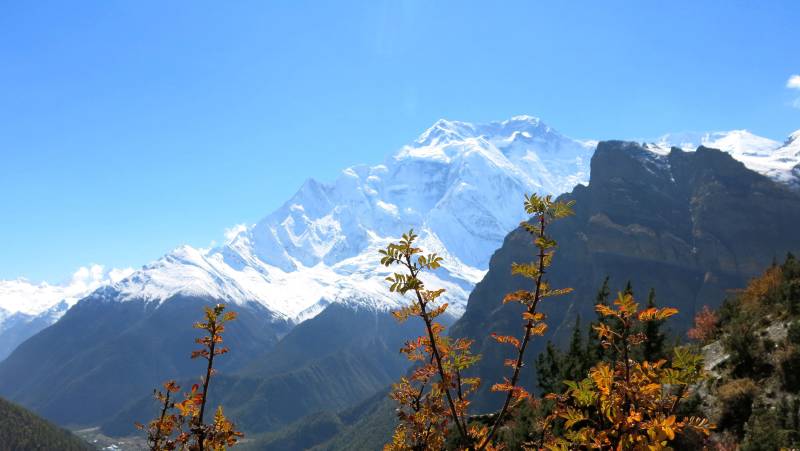 Annapurna Circuit Trek