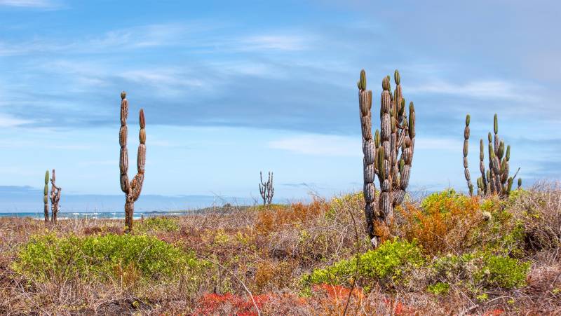 Island Hopping in the Galapagos