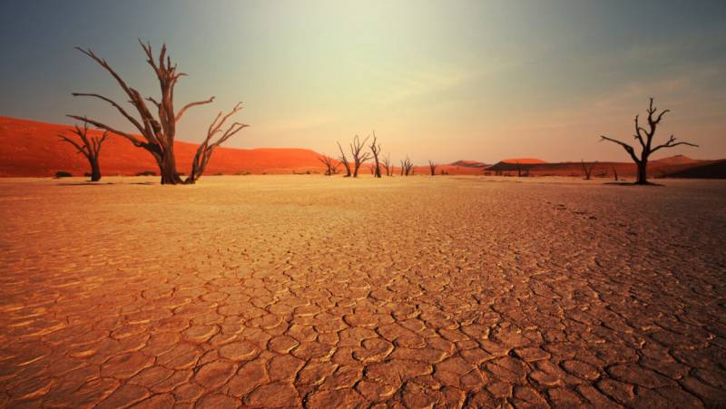 Dead Valley in Namibia