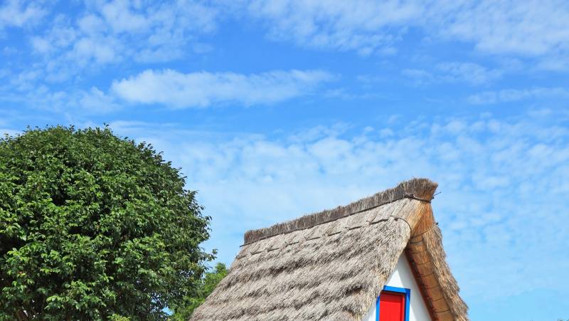 Marvels of Madeira Walk