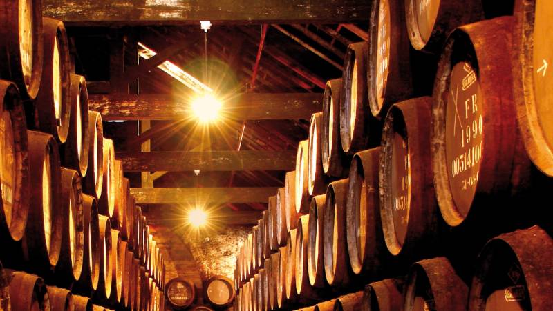 Discover Northern Portugal – Premium Adventure