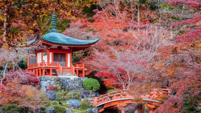 Autumn arrives in the temple gardens, Japan