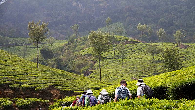 Kerala & the Tropical South
