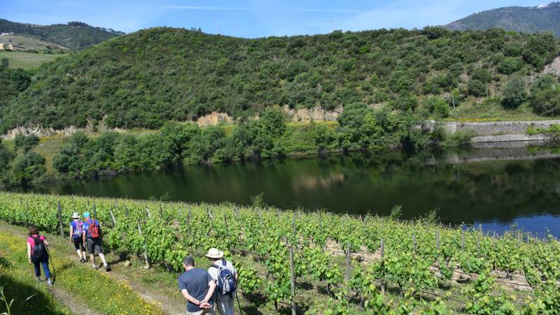 Discover Northern Portugal – Premium Adventure