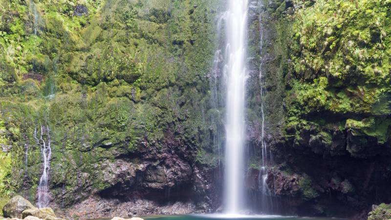 Marvels of Madeira Walk