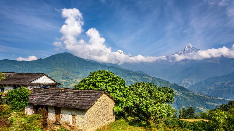 Annapurna to Chitwan: Walks & Wildlife