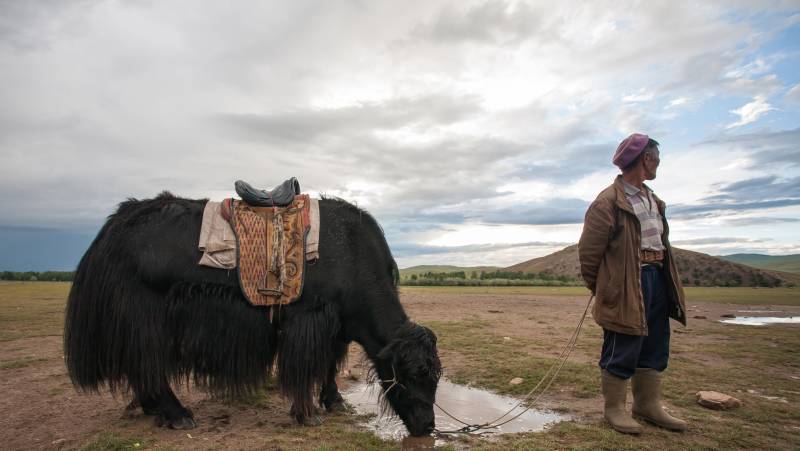 Cycling in Mongolia – Naadam Festival