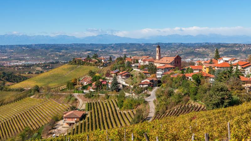 Barolo Gastronomic Cycling by E-Bike