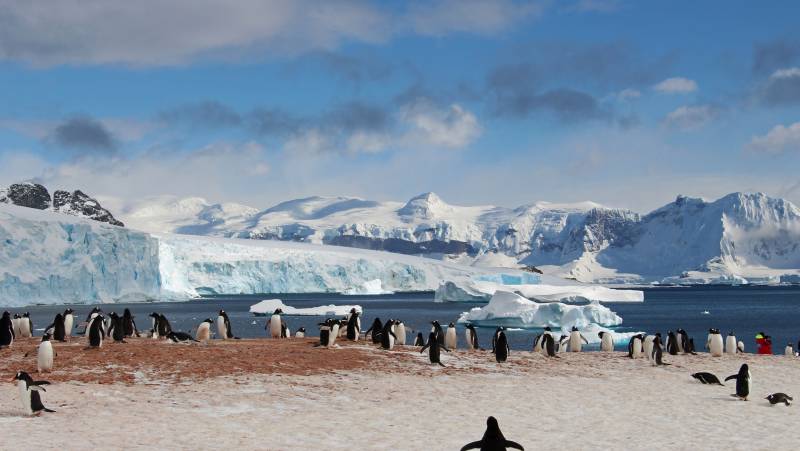 Epic Antarctica: Falklands, South Georgia & Antarctic Circle Crossing via Buenos Aires
