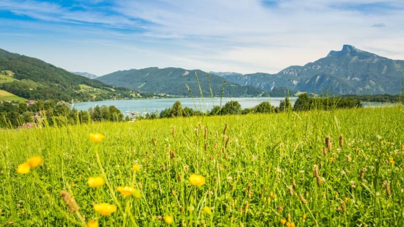 Self-Guided Walking in Austria’s Lake District