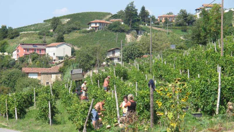 Barolo Gastronomic Cycling by E-Bike