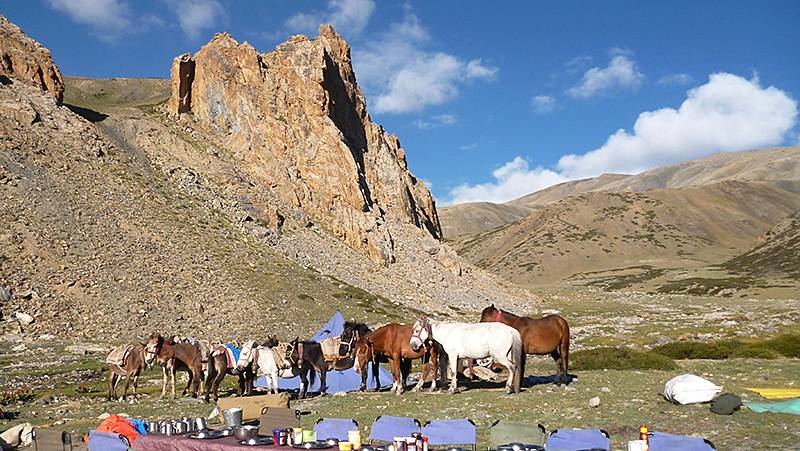Peaks of Ladakh Trek