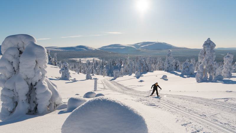 Cross-Country Skiing in Lapland