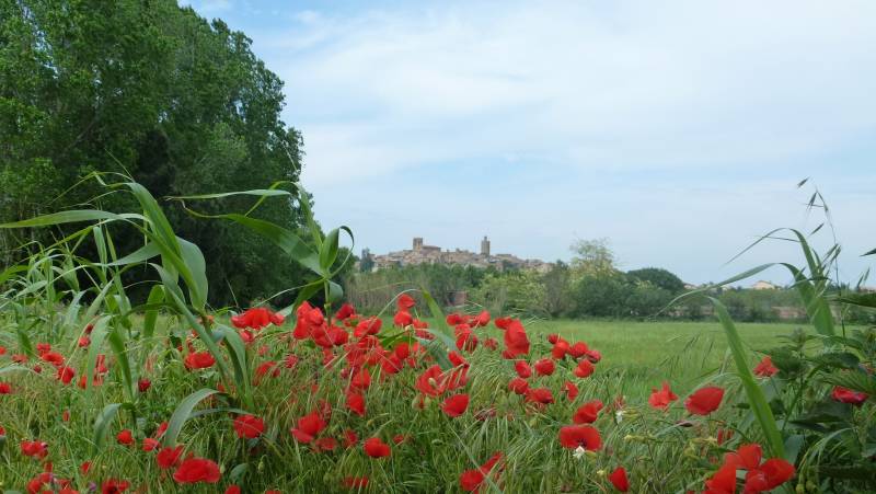 Catalan Classic Walk