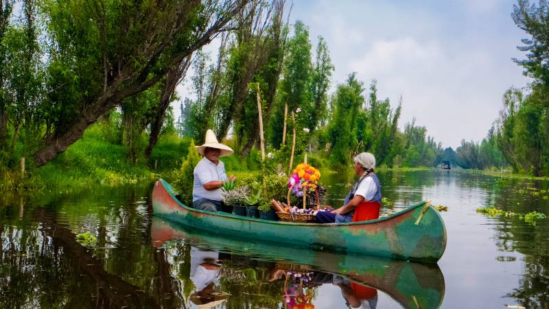Xochimilco Canals