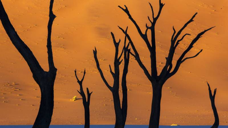 Botswana & Namibia: Delta & Dunes