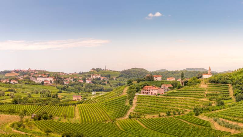 Goriska Brda a famous wine region of Slovenia located near Italy with the villages Smartno and Dobrovo. Sunrise and sunset looking over vineyards