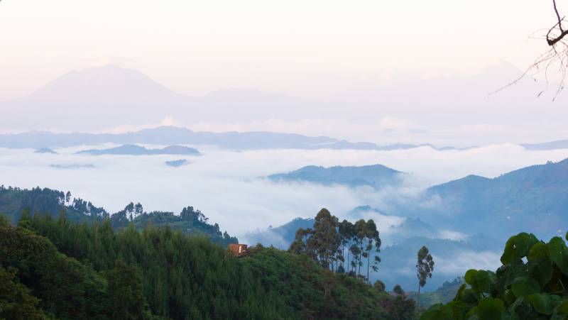 Gorillas & Masai Mara – Camping Reverse