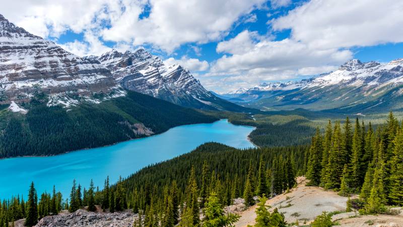 Discover the Canadian Rockies