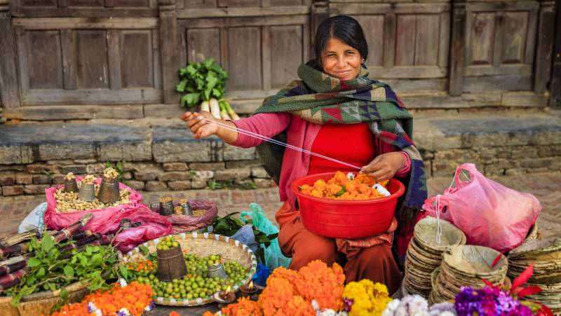 Everest Treks in Comfort