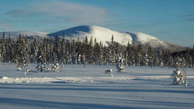 Cross-Country Skiing in Lapland