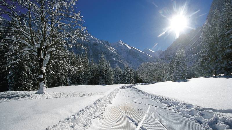 Cross-country Skiing in Kandersteg