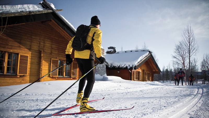 Cross-Country Skiing in Lapland