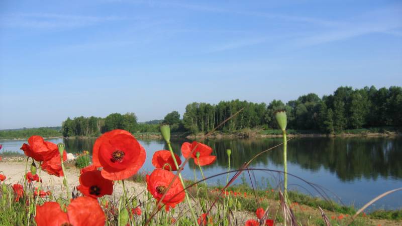 loire_valley_-_loire_river
