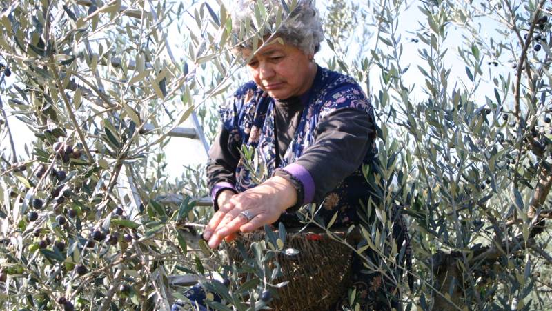 A Taste of Tuscany Self-Guided Walking