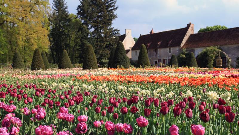 garden_at_chenonceau