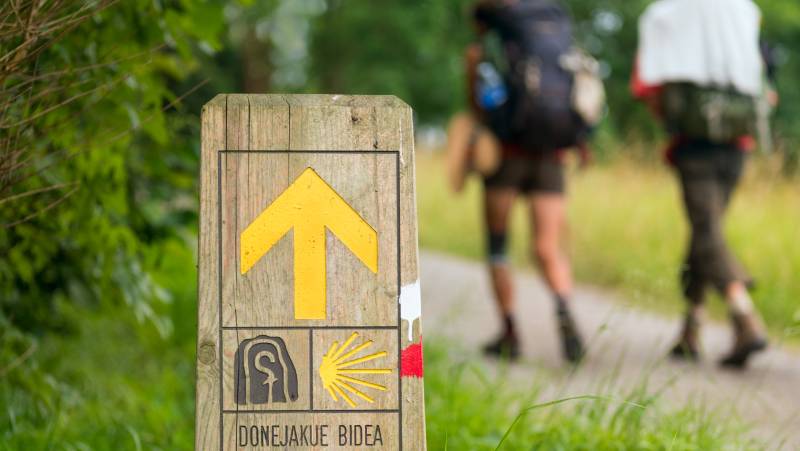 Walkers on the Caminso