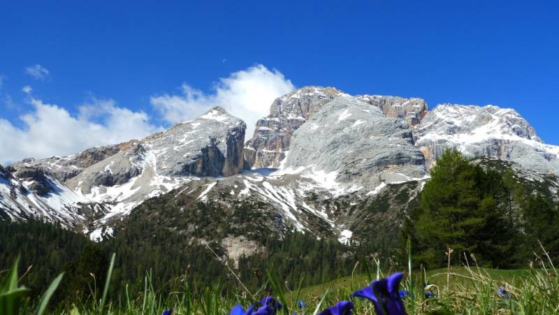Walks in the Italian Dolomites