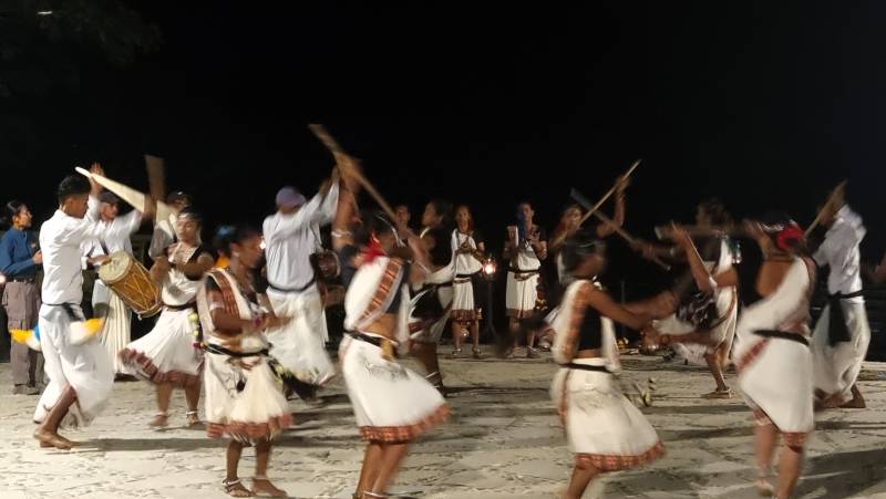 Chitwan Safari Add-on Tour