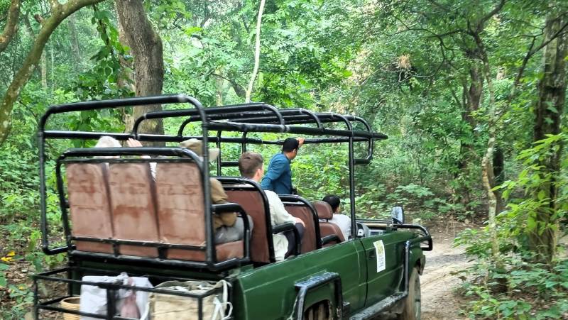 Chitwan Safari Add-on Tour