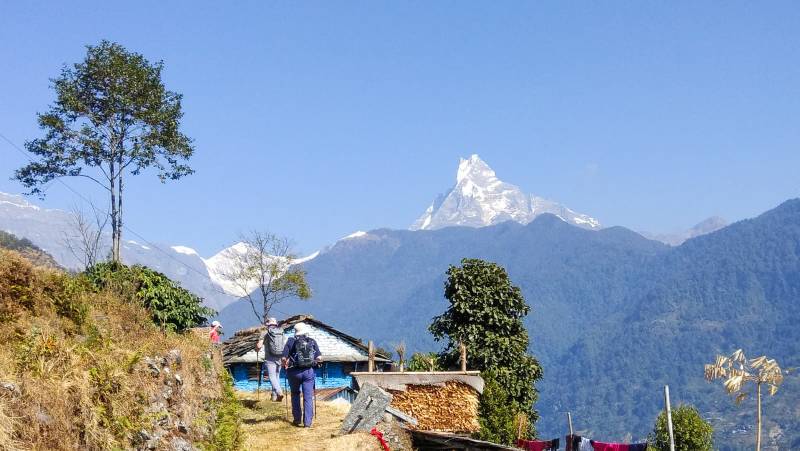 Annapurna to Chitwan: Walks & Wildlife
