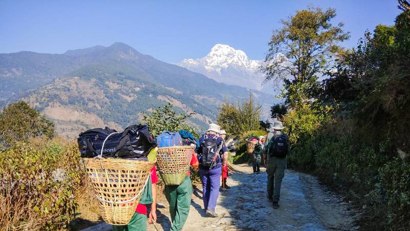 Annapurna to Chitwan: Walks & Wildlife