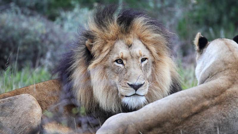 Cape Town and the Garden Route – Premium Adventure