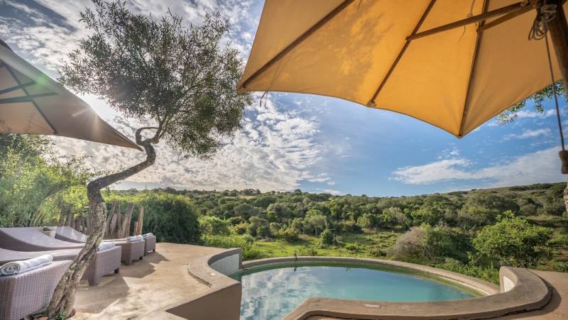 Amakhala Safari Lodge, Amakhala Game Reserve