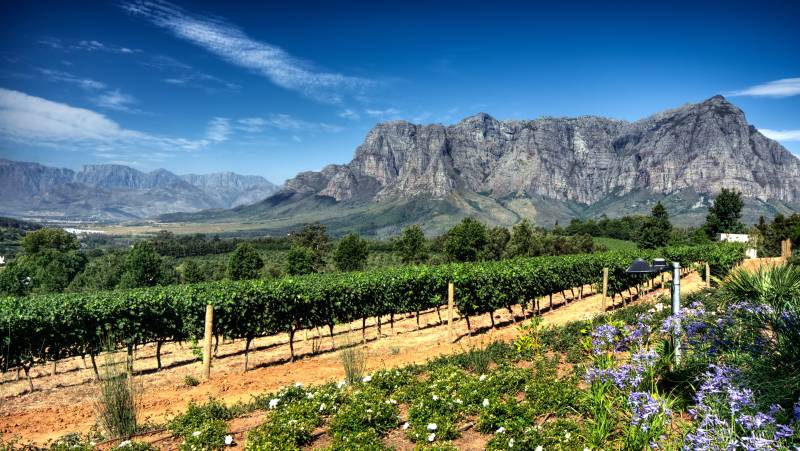 Stellenbosch
