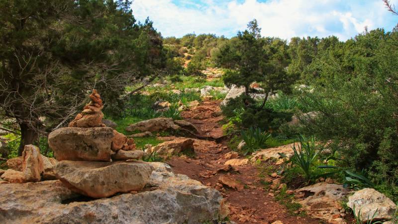 adonis_aphrodite_trails_shutterstock_1592874955