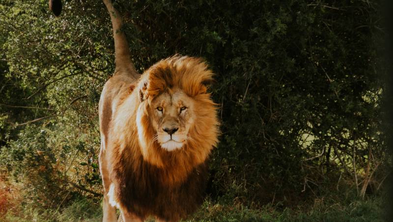 Cape Town & the Garden Route