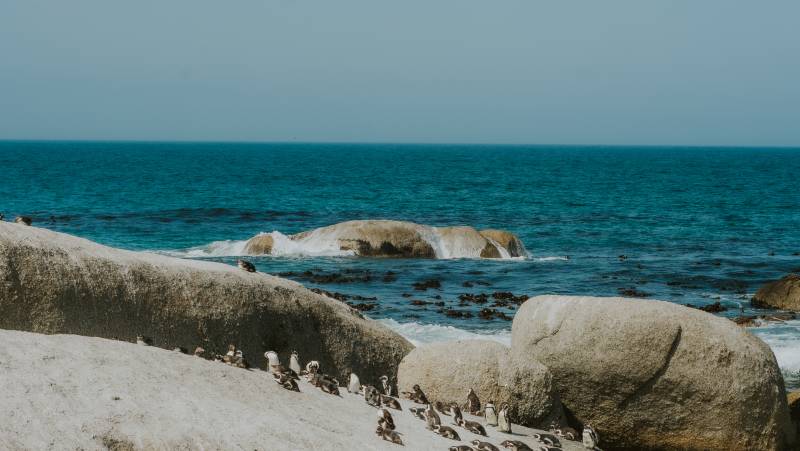 Cape Town & the Garden Route