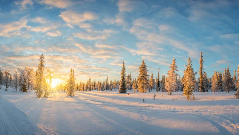 Finland Family Winter Adventure