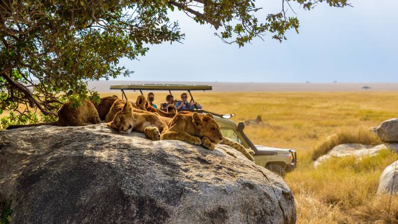 Tanzania Safari Adventure