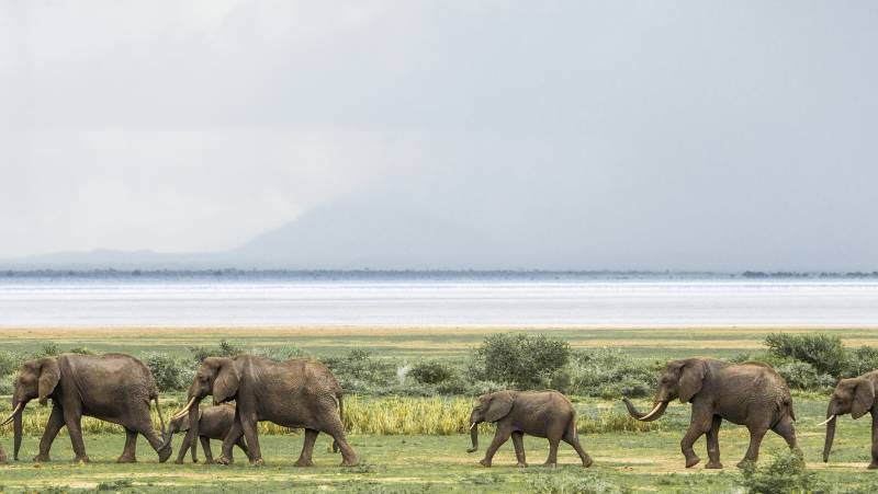 Safari Add-on Tour after Rongai Route