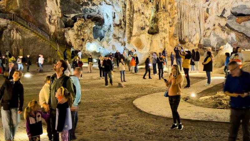 Best of the Garden Route – Premium Adventure