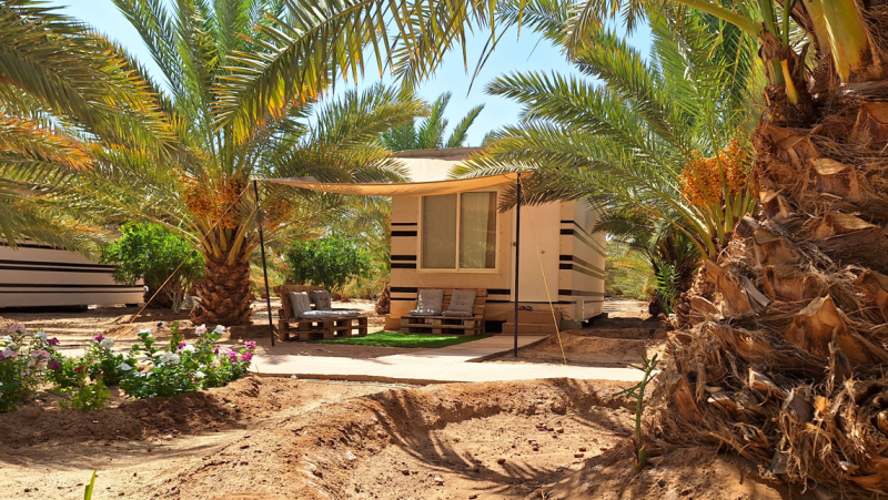 Saudi Arabia Explorer