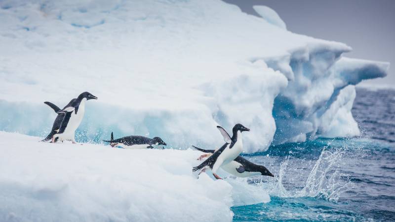 Antarctic Express: Crossing the Circle