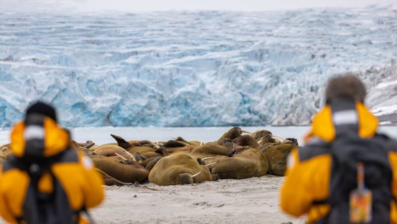 Spitsbergen Circumnavigation: A Rite of Passage